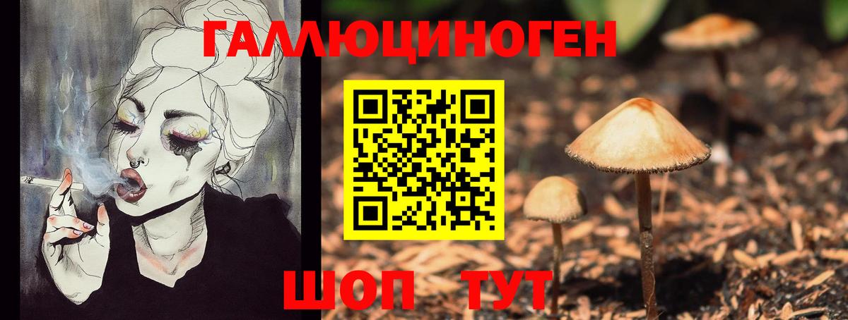 Псилоцибиновые грибы GOLDEN TEACHER  Галлюциногенные грибы Magic Shrooms  Вход с VPN  Сергиев Посад 